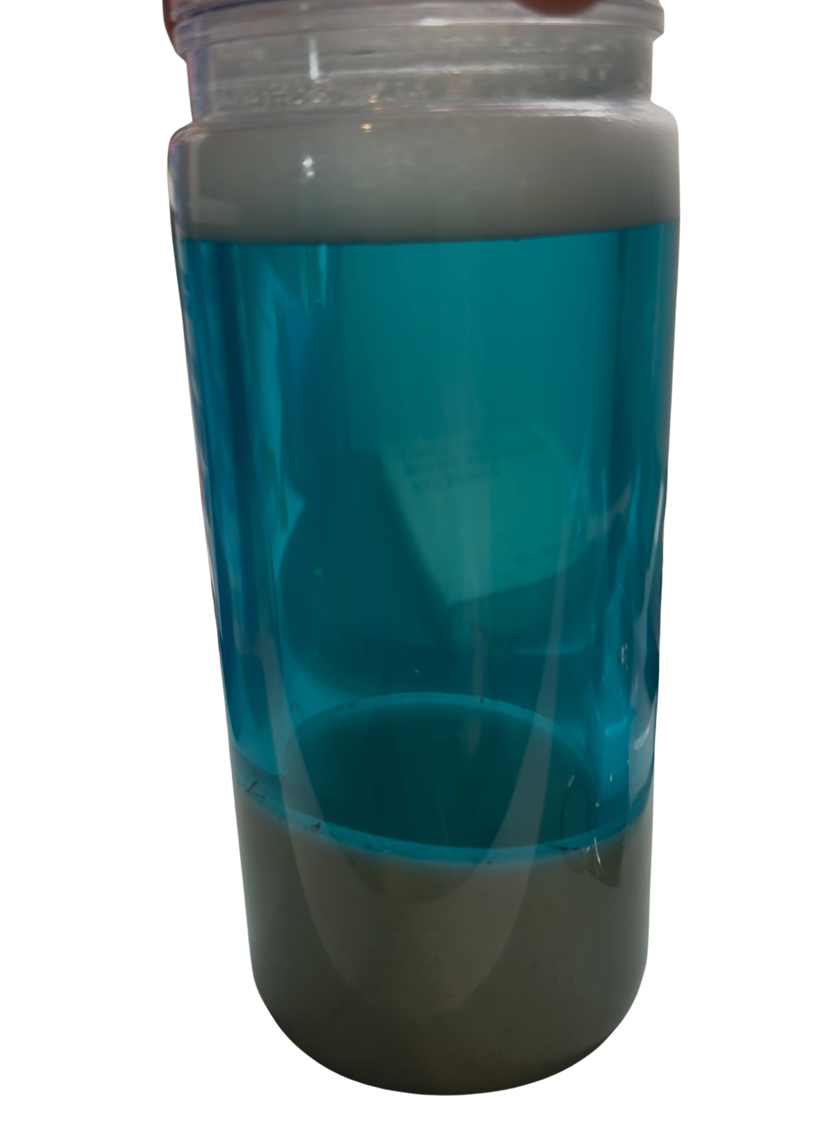Ocean Cups